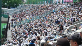 おめでとう！白樺！北海！ 