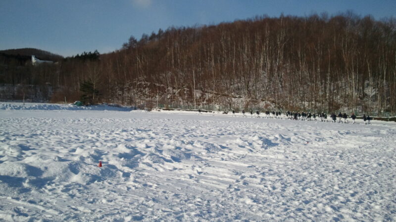 札幌豊平クラブ 
