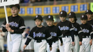 柏タイガース 