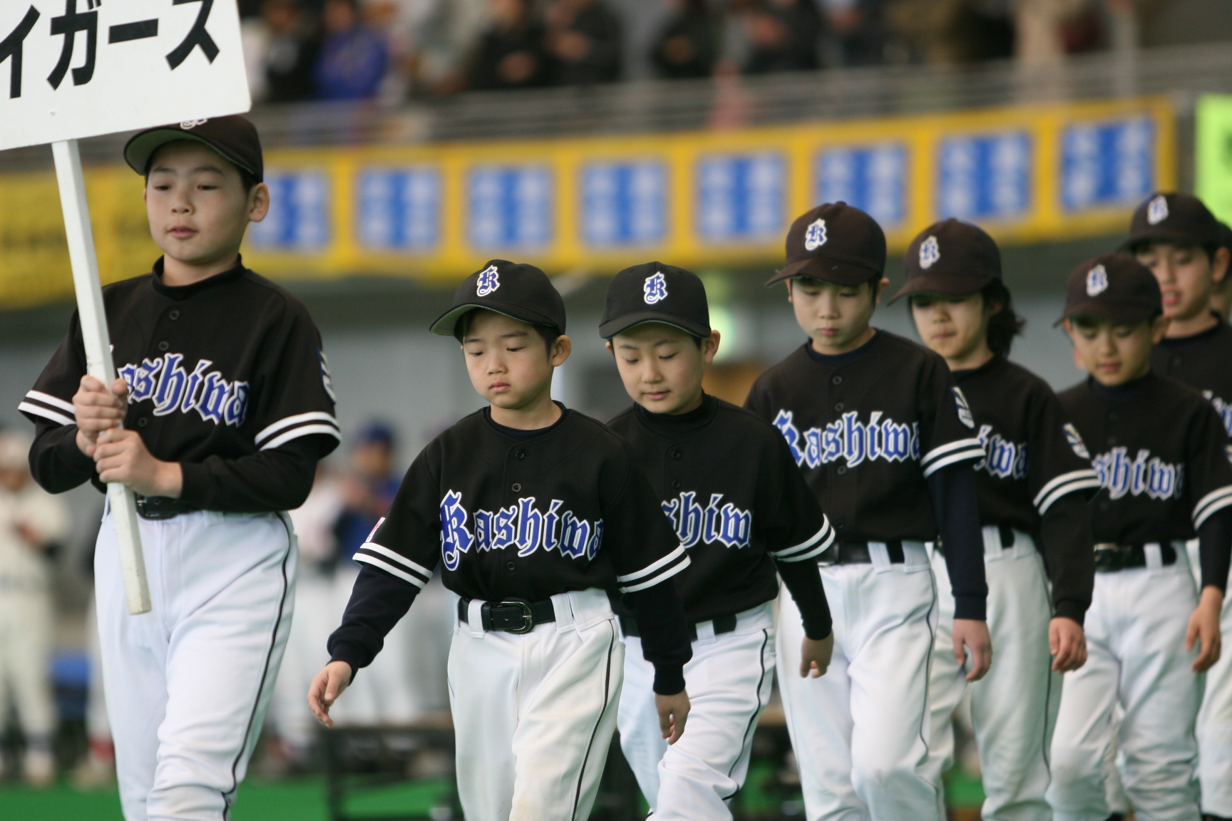 柏タイガース