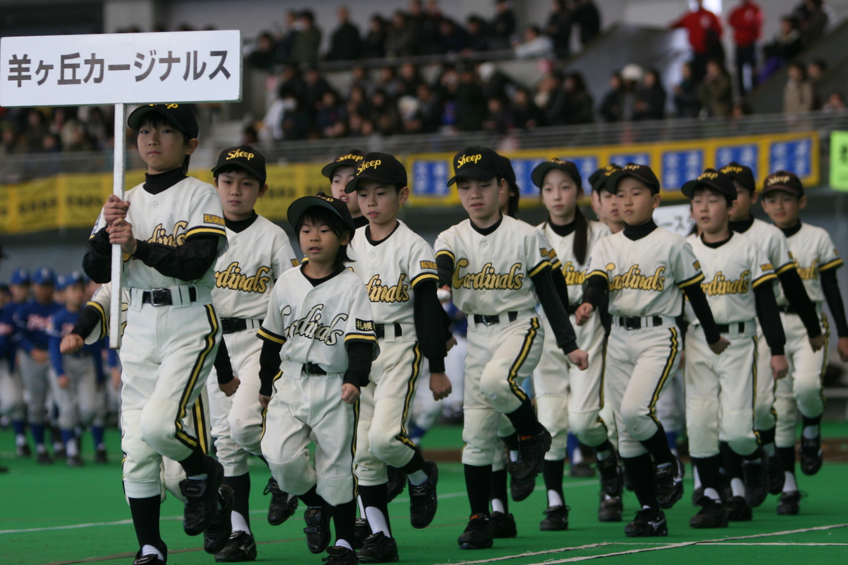 羊ヶ丘カージナルス