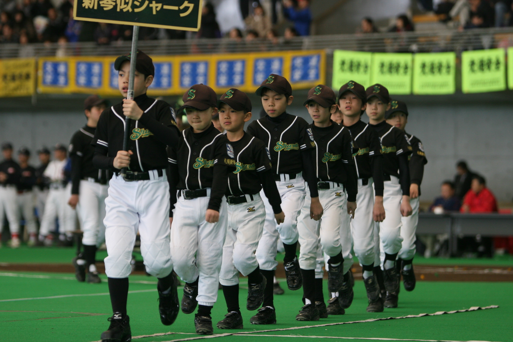 新琴似シャーク