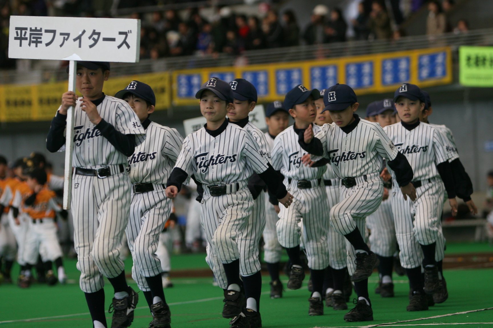 平岸ファイターズ