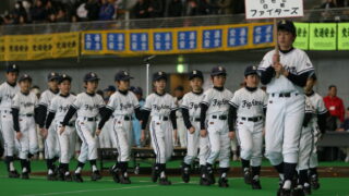白菊ファイターズ 