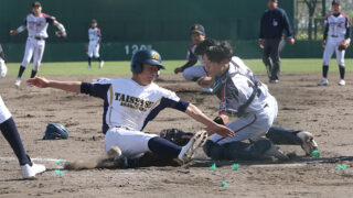 【11日速報】スポーツ報知杯 北海道大会・1会場3試合 