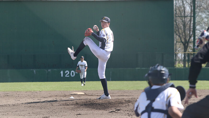 スポーツ報知杯 北海道大会、決勝は6月28日・月形球場 