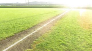 「全国スポ少大会」が新名称に　2025年度から「エンジョイ！軟式野球フェスティバル」へ変更 