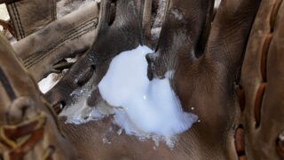 ボールを弾く原因はもしかしたら捕球面の〇〇かも！？ 