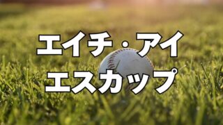 【16、17日結果】北海道ボーイズリーグ初代王者の座はどこに！ 