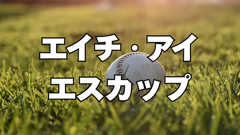 北海道ボーイズリーグ初代王者の座はどこに!