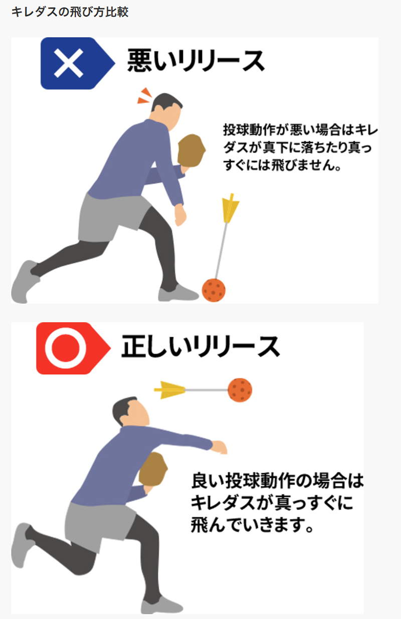 キレダス飛び方