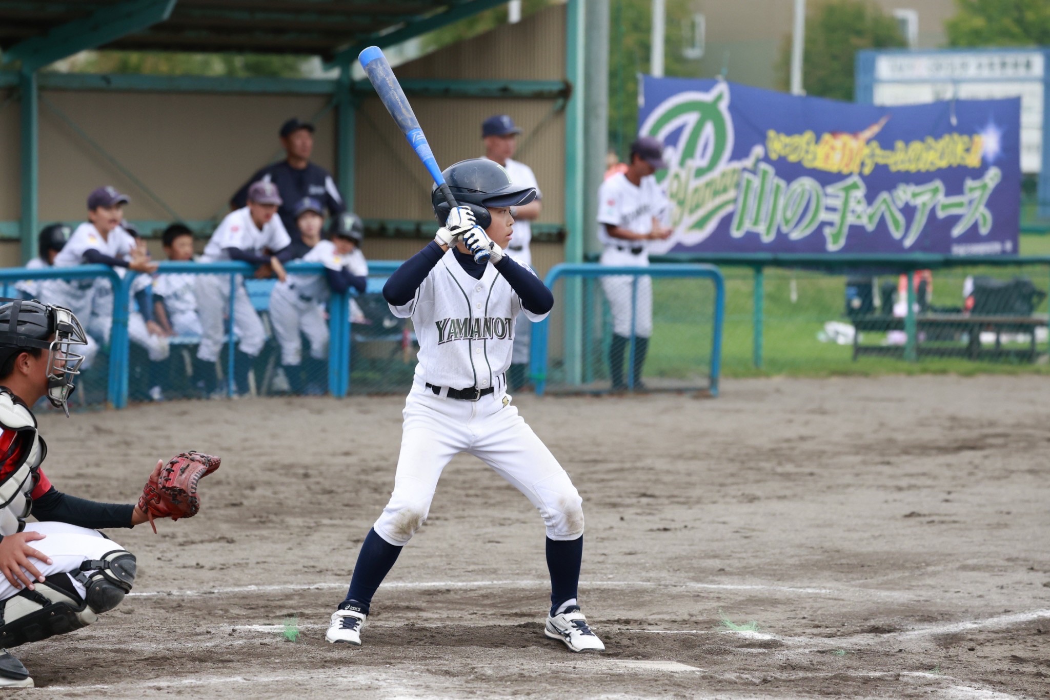 柳(山の手ベアーズ)