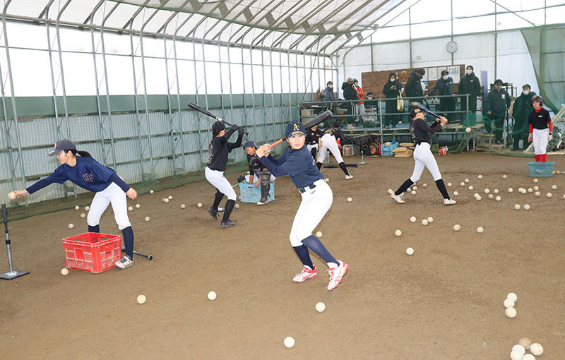 打撃練習に励むJBC北海道ナイン