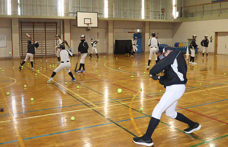 バッティング練習に励む札幌ブレイブティーンズ