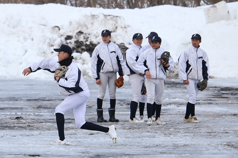(写真・札幌北リトルシニア提供)