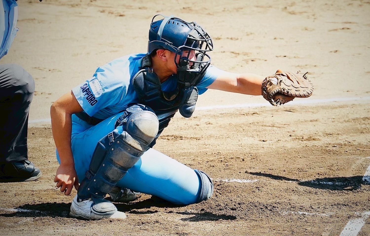 札幌新琴似シニア・其田陽輝、青森の名門・八戸学院光星へ進学