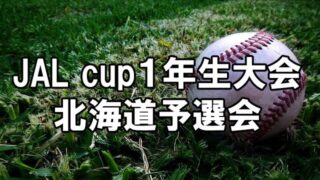 1年生の夏、沖縄への切符を懸けた熱戦開幕！ JAL 沖縄 Cup北海道予選が7月25日スタート 