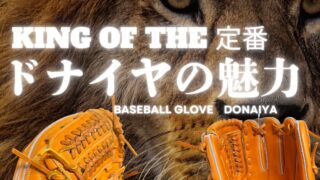 ド定番グラブの王様！ドナイヤの魅力 