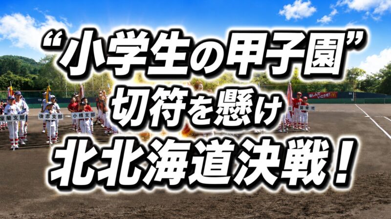 “小学生の甲子園”切符を懸け北北海道決戦！昭和ブルーホークス軸に強豪集結 