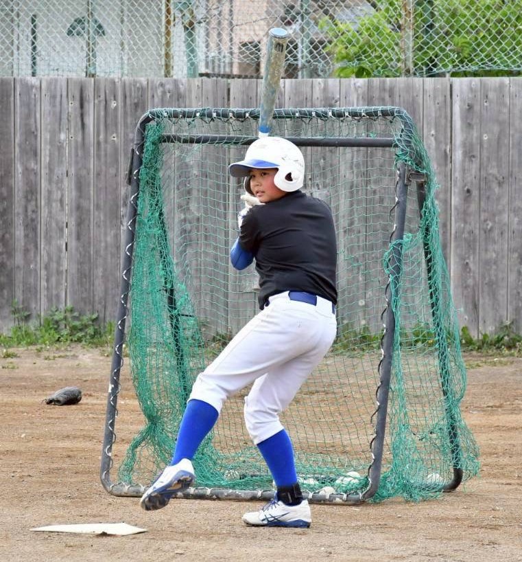 （写真・昭和ブルーホークス提供）