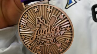 【記録】2016北海道日本ハムファイターズ 