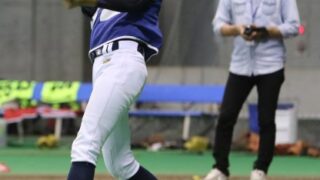 今週の出没は・・・、 
