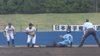 今週の速報＆出没は・・・、 