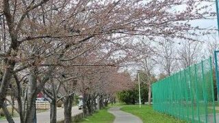 【代表】北区予選 