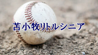 【速報】苫小牧、初戦で涙＜全国選抜＞ 