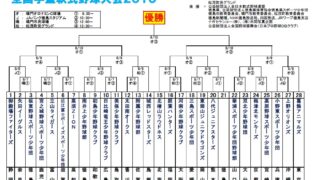 【9日速報】2015阿波おどりカップ 