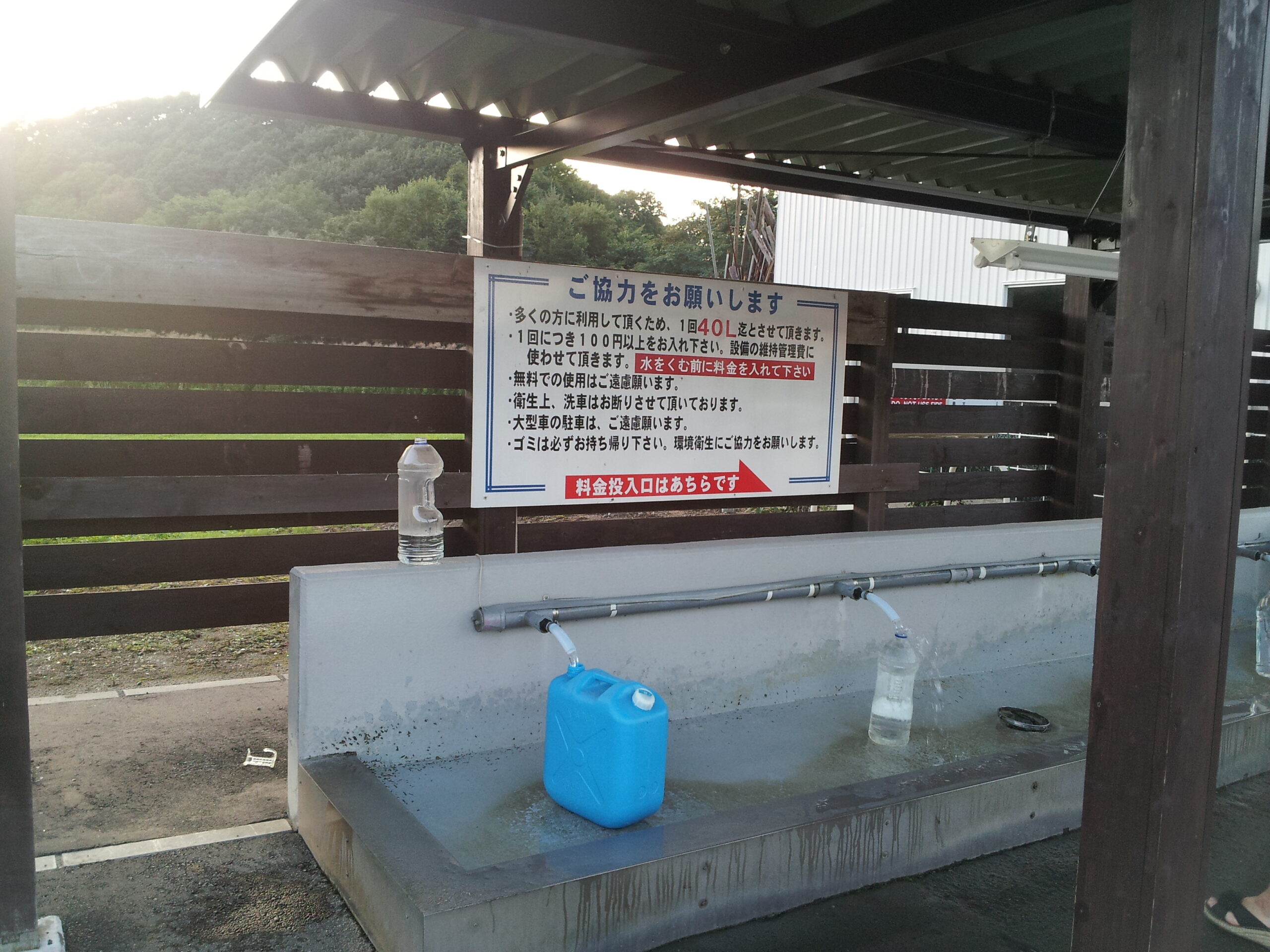 湧き水②