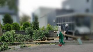 台風21号、恐るべし！ 