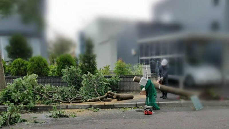 台風21号、恐るべし！ 