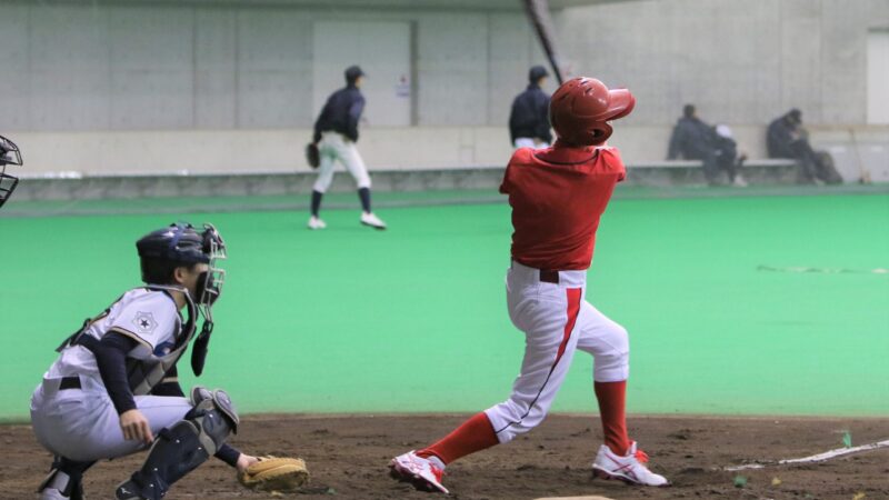 今週の出没は・・・、 