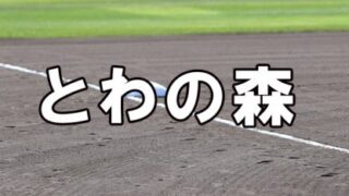 とわの森三愛ベンチ入りメンバー＜2022春＞ 