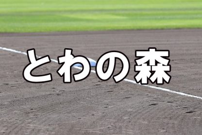とわの森三愛ベンチ入りメンバー＜2023春＞ 