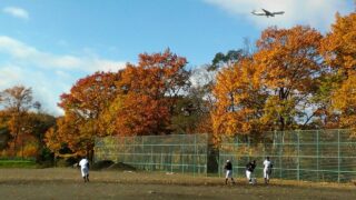【投稿】寒空の下・・・（植苗編） 