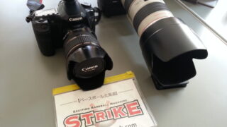 今週の出没は・・・ 