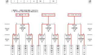 【29日結果】優勝緑丘ホーマーズ　準V円山リトル＜春季大会＞ 