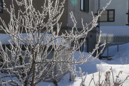 今週の出没は・・・、 