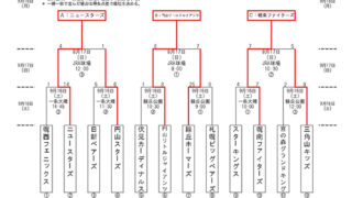 優勝はニュースターズ 準V幌南＜新人戦＞ 