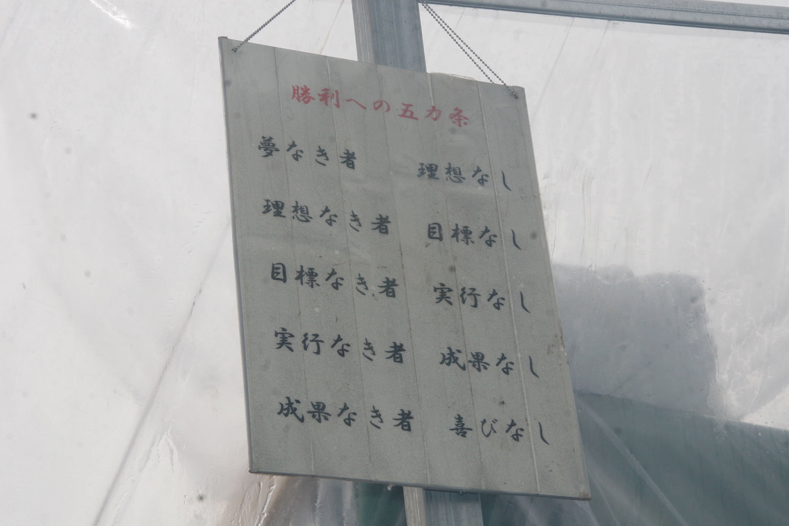 勝利への五か条