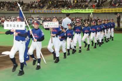 【代表】(ホ)(太)厚別区予選 