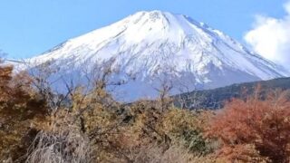 あけましておめでとうございます 