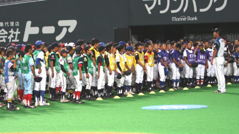 ファイターズジュニア１次セレクションに７７０人が参加 