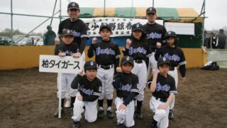 柏タイガース 