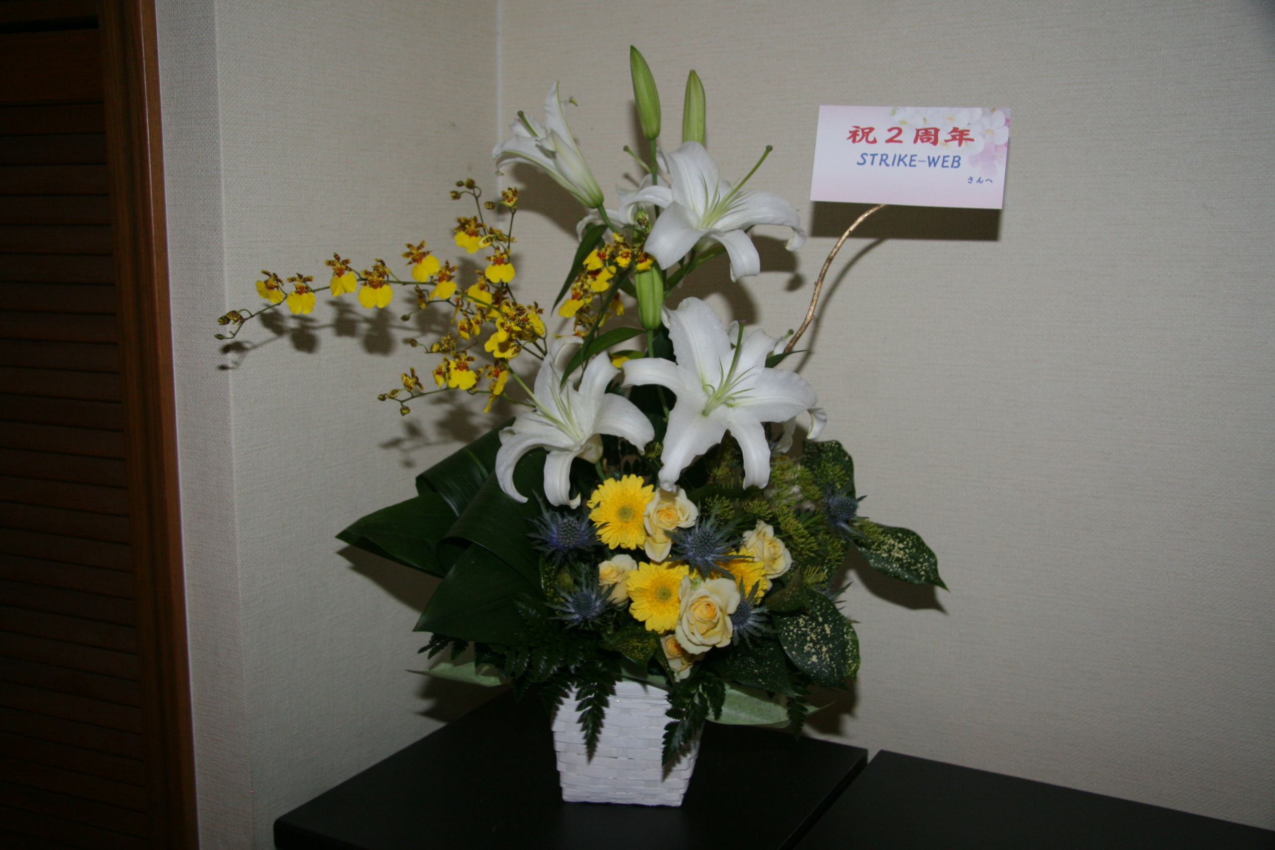 祝2周年