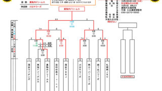優勝は真駒内ドリームス 準V川沿＜秋季大会＞ 