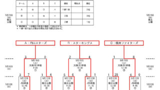 優勝幌南ファイターズ 準V円山スターズ＜FUJIジャパン旗＞ 