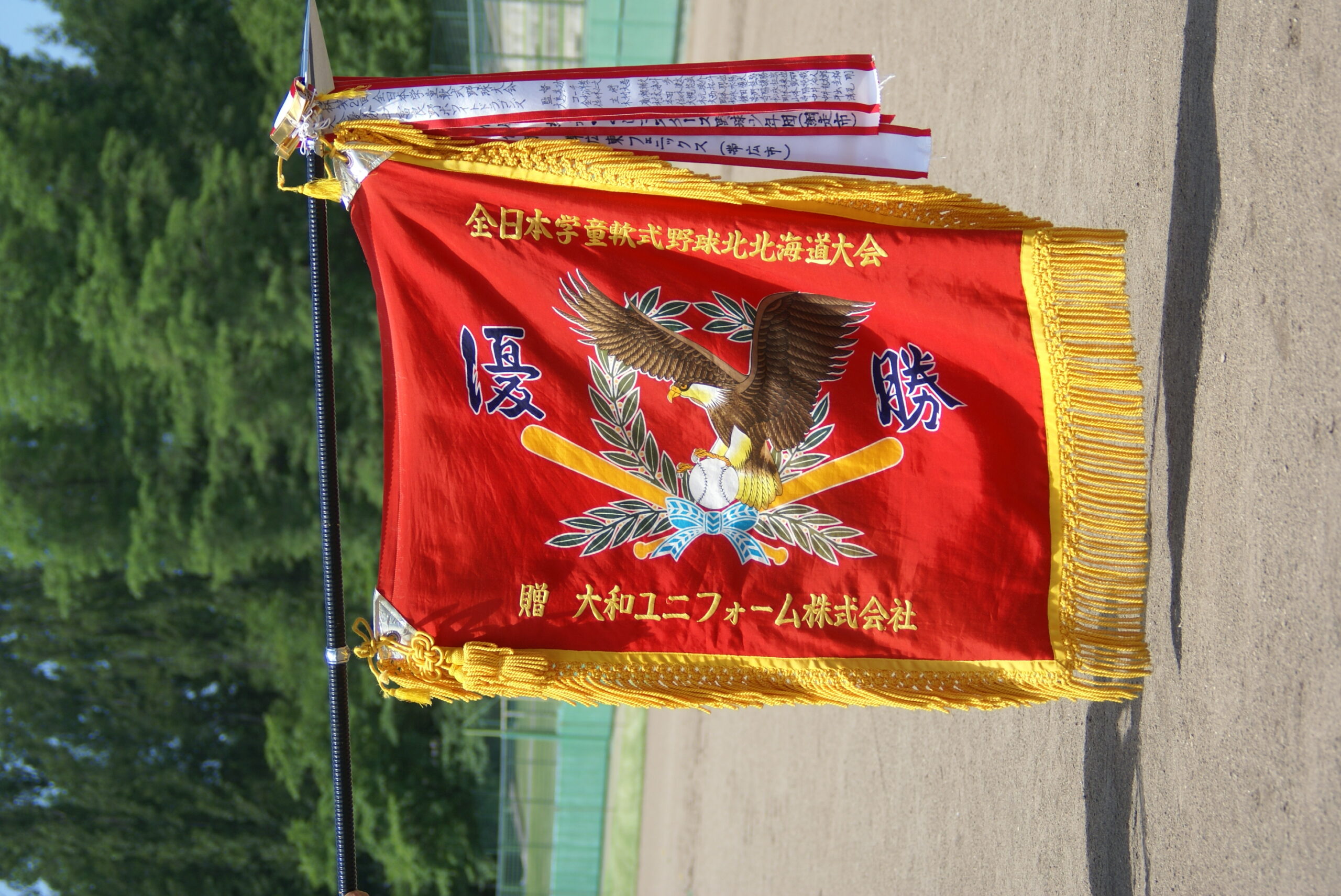 SONY DSC